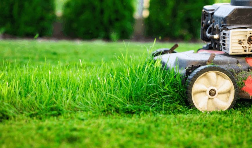 Lawn Mowing
