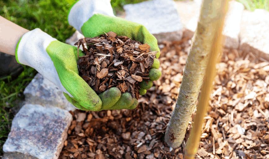 Mulch Installation